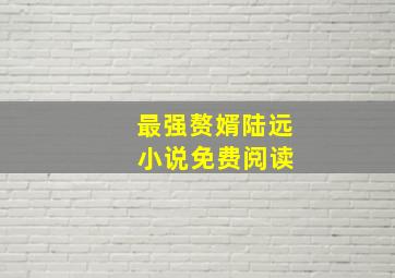 最强赘婿陆远 小说免费阅读